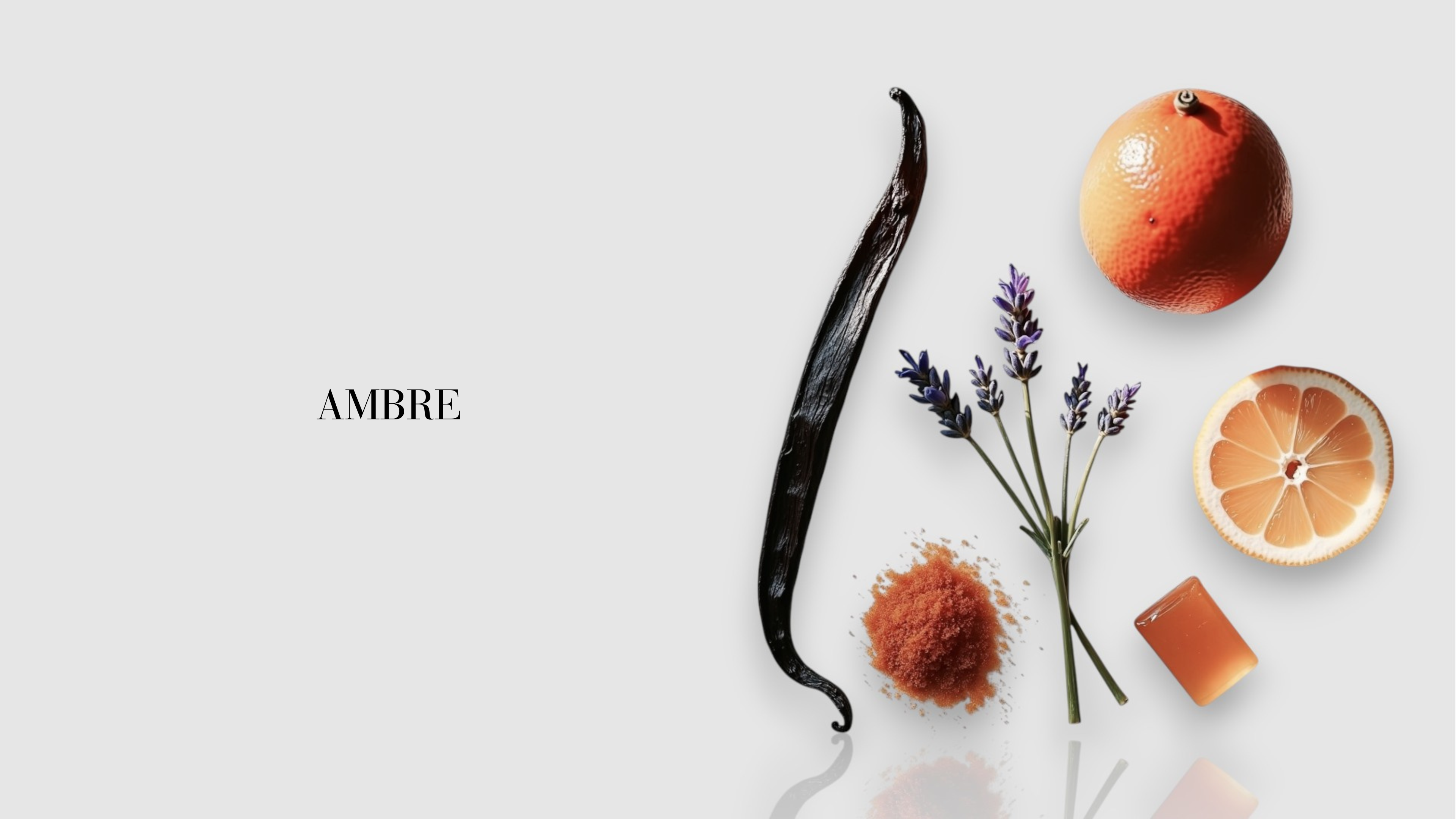 Ambre