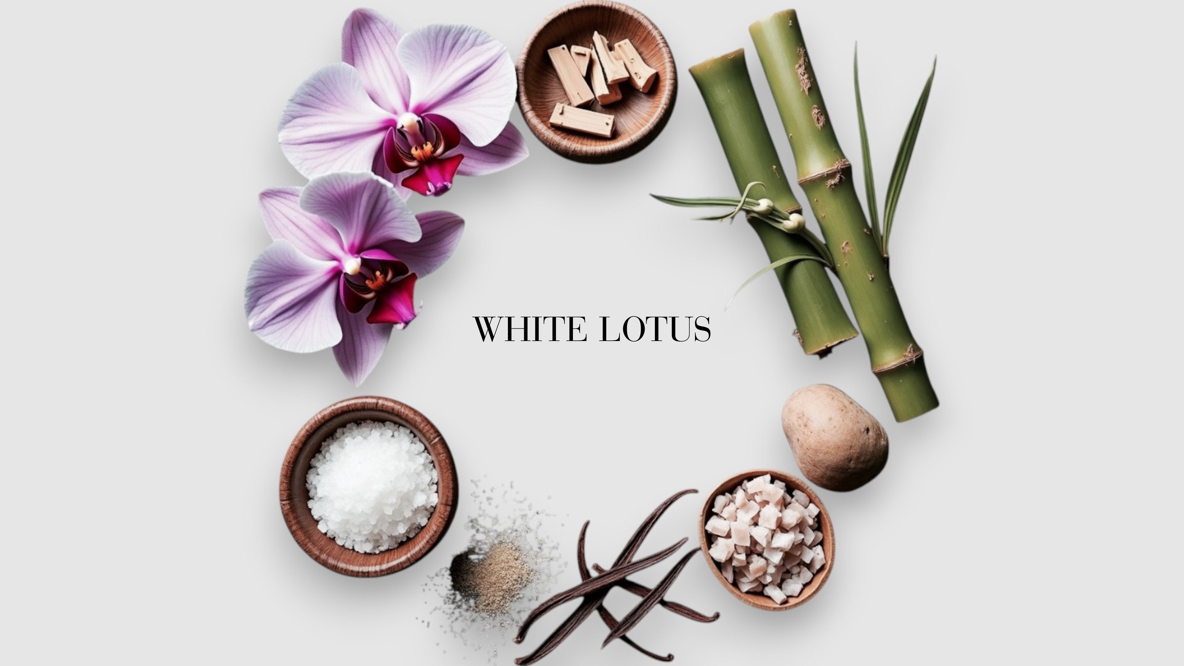 White Lotus