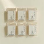 Six wax melts in clear plastic clamshell packages arranged in two rows on a warm off-white background. Each package contains a white wax melt card with the text 'WAX MELTS' and 'EVERYDAY' printed vertically, plus a small logo.
