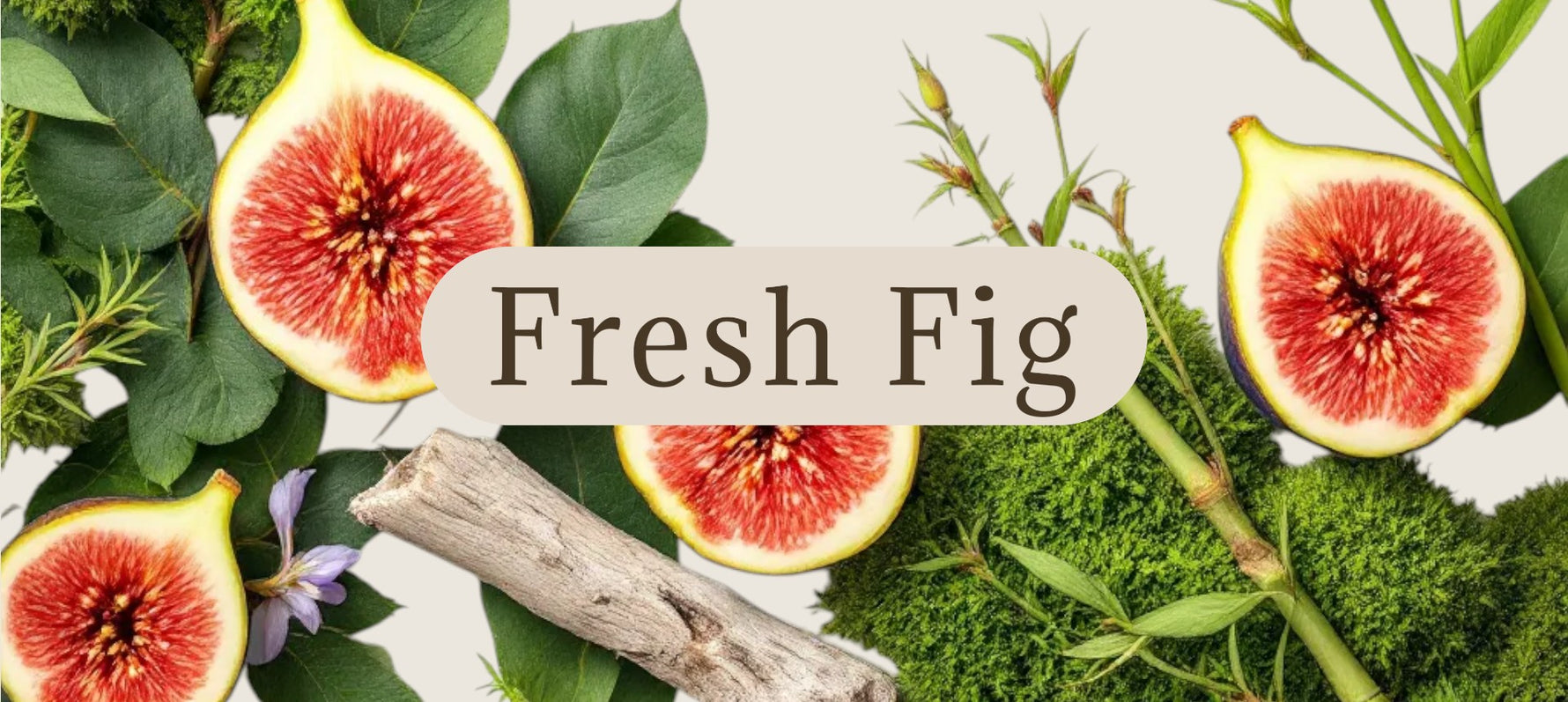 Fresh fig fruits shown sliced open with green leaves, stems, moss, and a small branch around them. A central label reads “Fresh Fig.