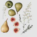 ferngully scent profile